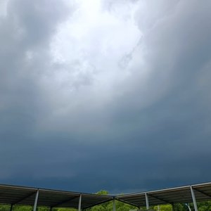 BON-BON BLANCO-L饿狼G（G.H.W.夜煞 remix）