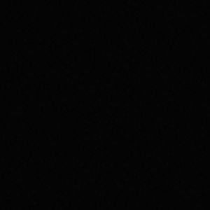 财神鹰恭喜你发财