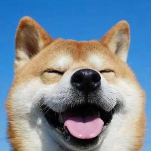 我的遗憾2021 demo