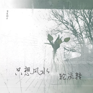 只想风水轮流转