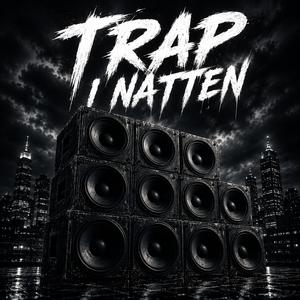 Trap i natten