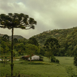解压治愈钢琴曲（桃花缘）