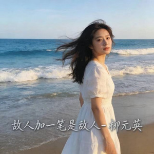 故人加一笔是敌人 (DJ涵哈版)