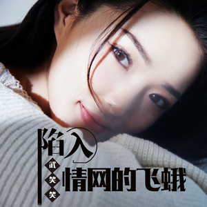 陷入情网的飞蛾 (Dj何鹏版)