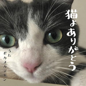 猫よありがとう