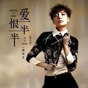 爱一半恨一半 (DJ版)