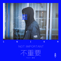 不重要 (Not Important)