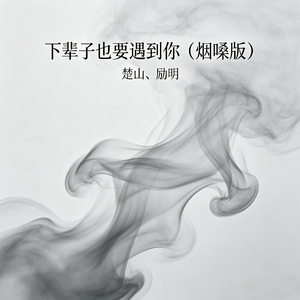 下辈子也要遇到你(烟嗓版)