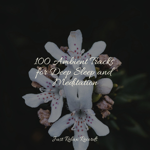 Echoes of Dune Shores