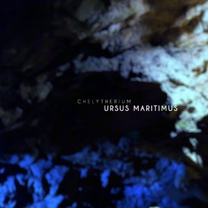Ursus Maritimus