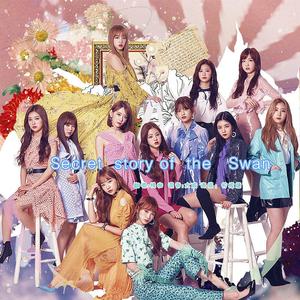 幻想童话（Secret Story of the Swan）（翻自 IZ*ONE）