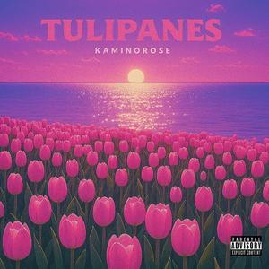 Tulipanes