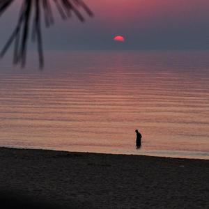 【FREE】First Trip