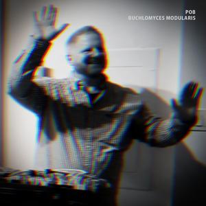 Suillus Granulatus (Live)