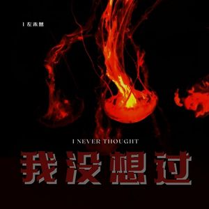 我没想过