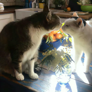 谢谢那个笨拙的我