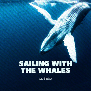 Sailing with the Whales