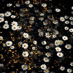 虚拟地理的梦幻宇宙之境