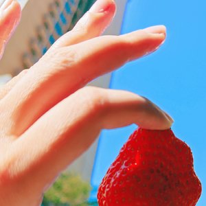 一腔诗意喂了狗