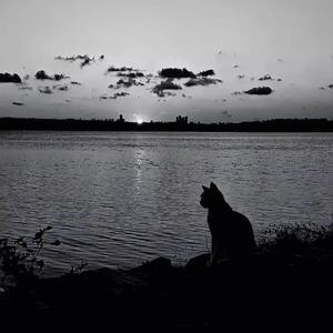 唯一（我真的爱你）