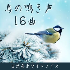 まぼろしの青い鳥