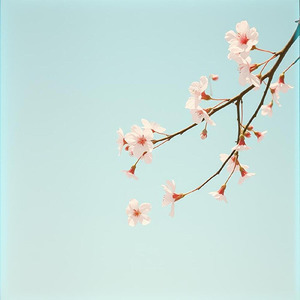 春が来るたび思い出す