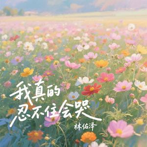 我真的忍不住会哭