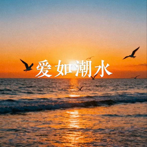 毫不犹豫的错过