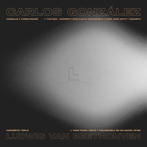 Homenaje a Torrelodones: I. el Canto del Pico. Andante Con Nobiltá