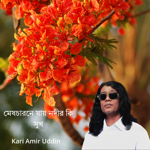 মেষচারনে যায় নদীর কি সুখ