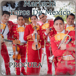 Procura