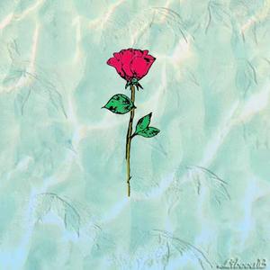 梦想之花开在彼岸