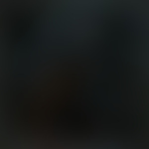 Inevitable (The Silent End)