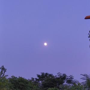 Marco陈 - 你是我的向日葵