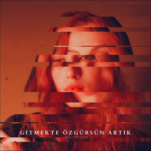 GİTMEKTE ÖZGÜRSÜN ARTIK