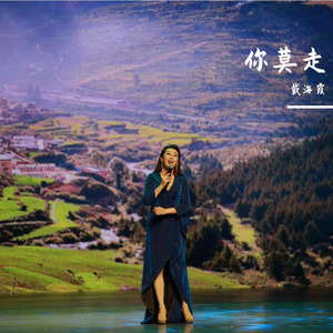 戴海霞--《你莫走》