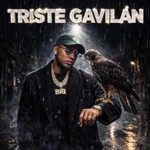 Triste Gavilan