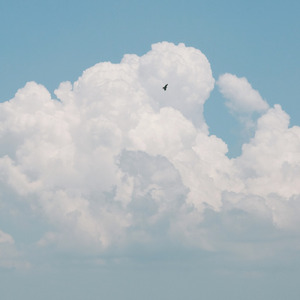 scenes (feat. 小西遼)