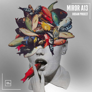Mirror A13 (Original Mix)