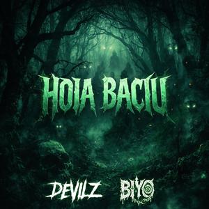 HOIA BACIU