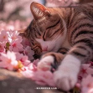 花香 - Scent of a Flower