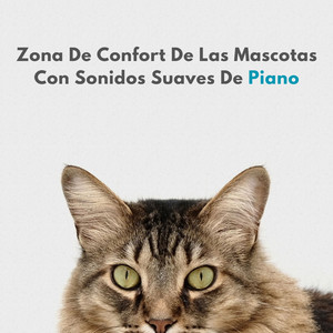 Gato Siestas Esponjosas