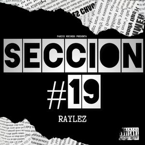 Seccion #19
