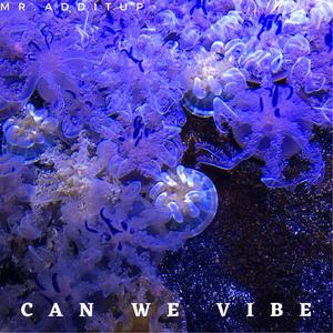 Can We Vibe