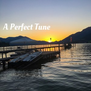 A Perfect Tune