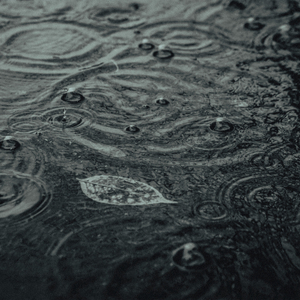 Rain Song