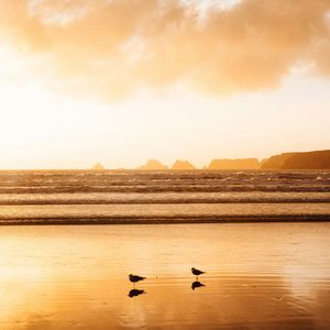 火尖枪与旧胶片