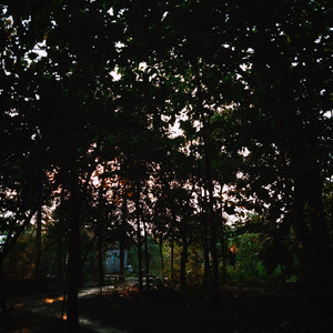 Imsomnia