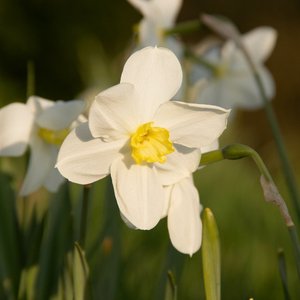 4%E6%9C%884%E6%97%A5%202.mp3