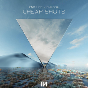 Cheap Shots